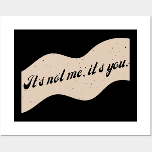 It's Not Me, It's You. Posters and Art